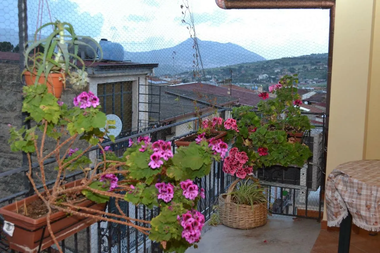 B&B Jolly House Bolognetta Italia